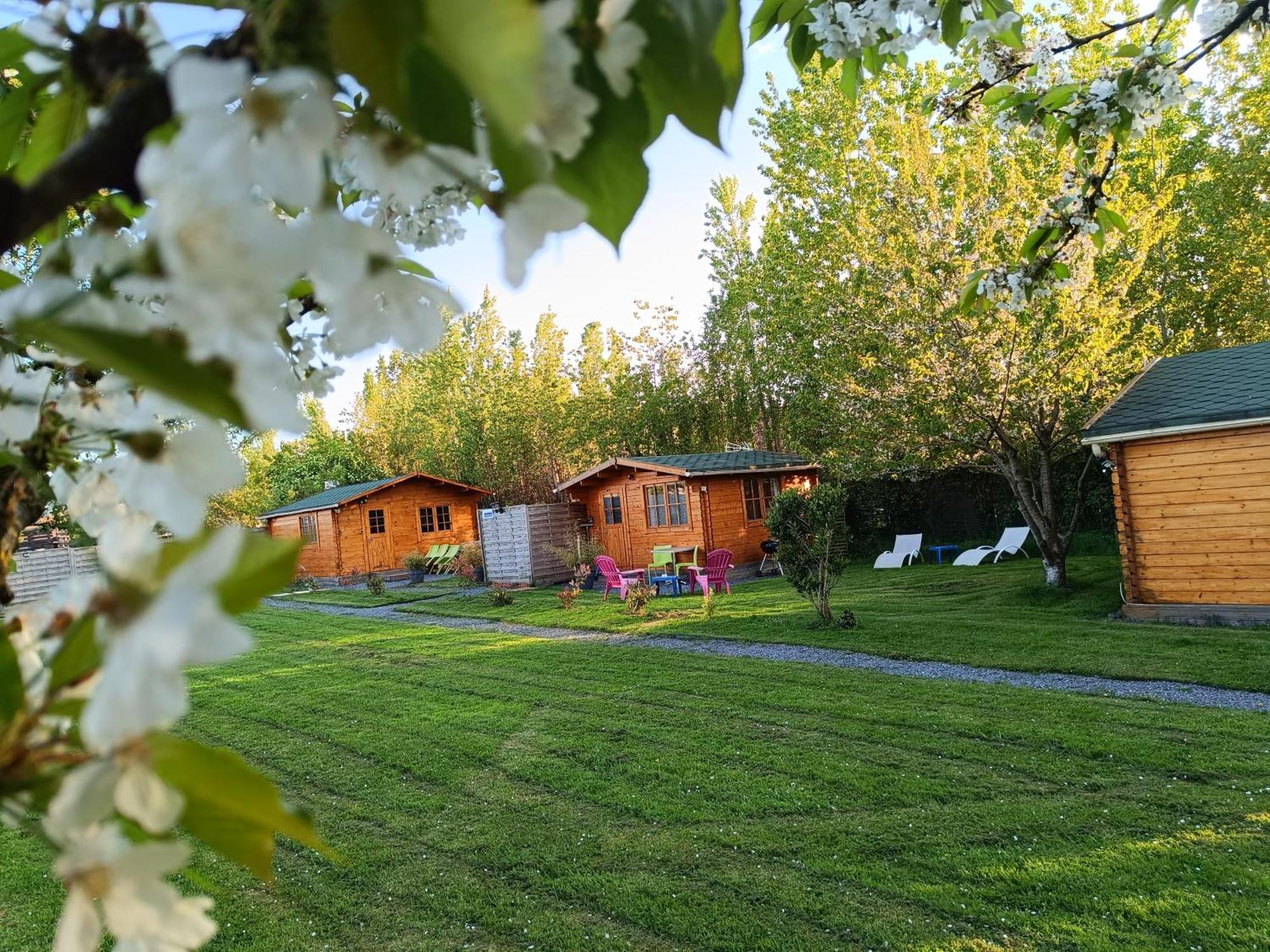 Gite Les Chalets Du Fliers Verton Meubles De Tourisme Classes 2 Etoiles Berck Bilik gambar
